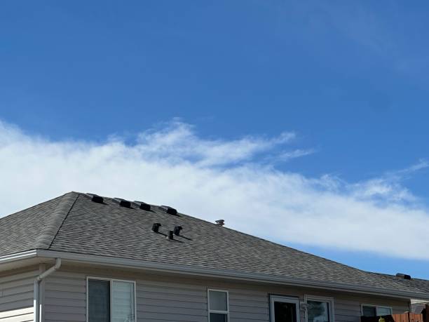 Best Storm Damage Roof Repair  in Dalton, PA